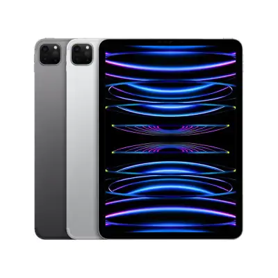 iPad Pro 11 inch (4th Gen.)